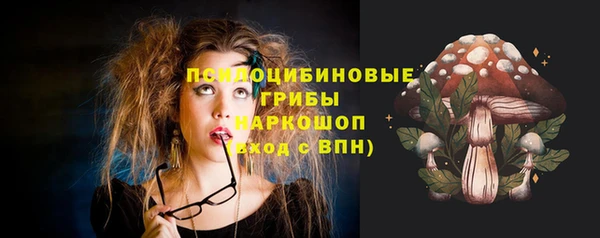 молекула духа Алзамай