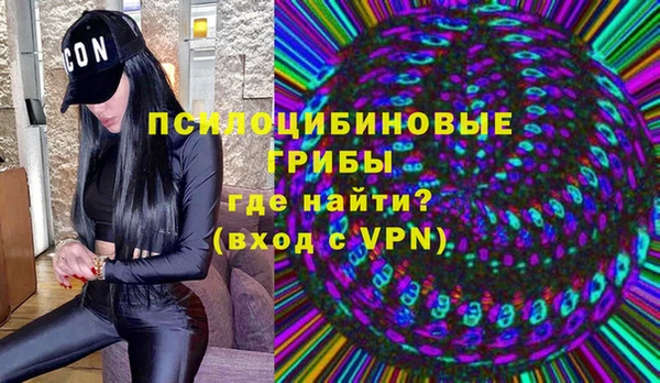 молекула духа Алзамай